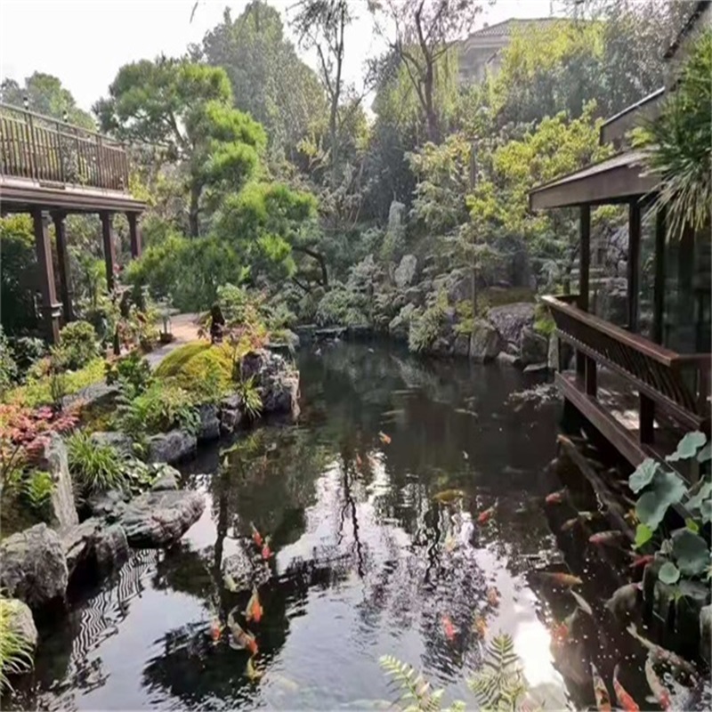 连云港假山植物小鱼池